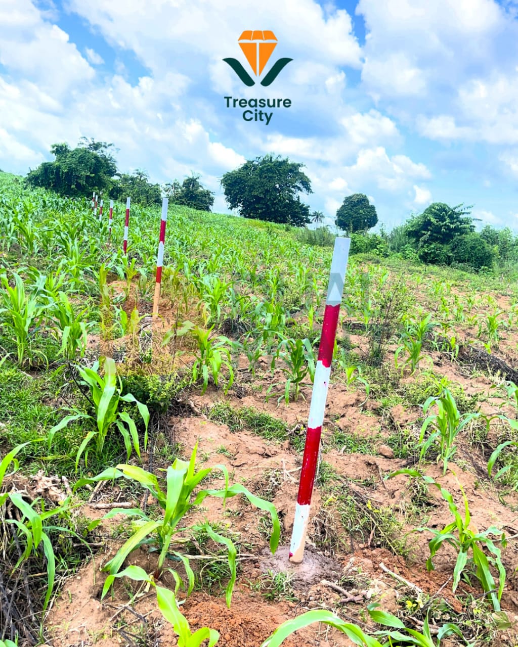 🐄 Innovation That Keeps Your Land Productive Image 6