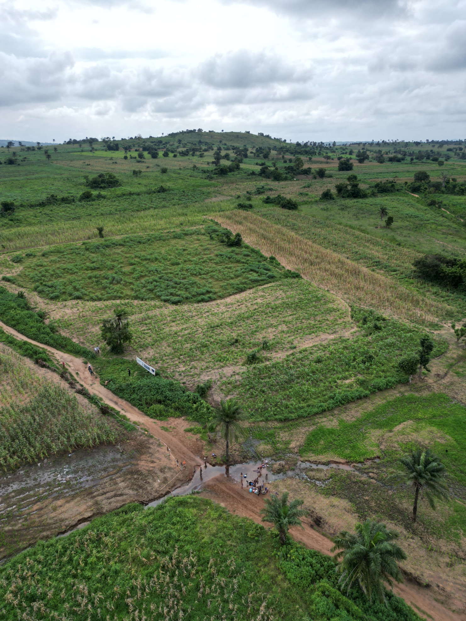 🛰️ Aerial Image of the Farmland Estate Layout Image 1