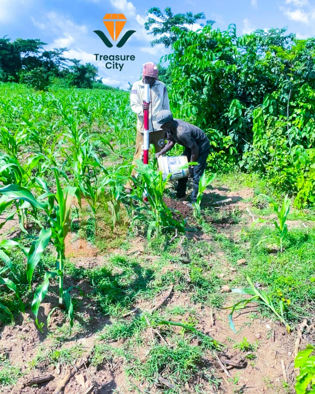 🐄 Innovation That Keeps Your Land Productive Image 7