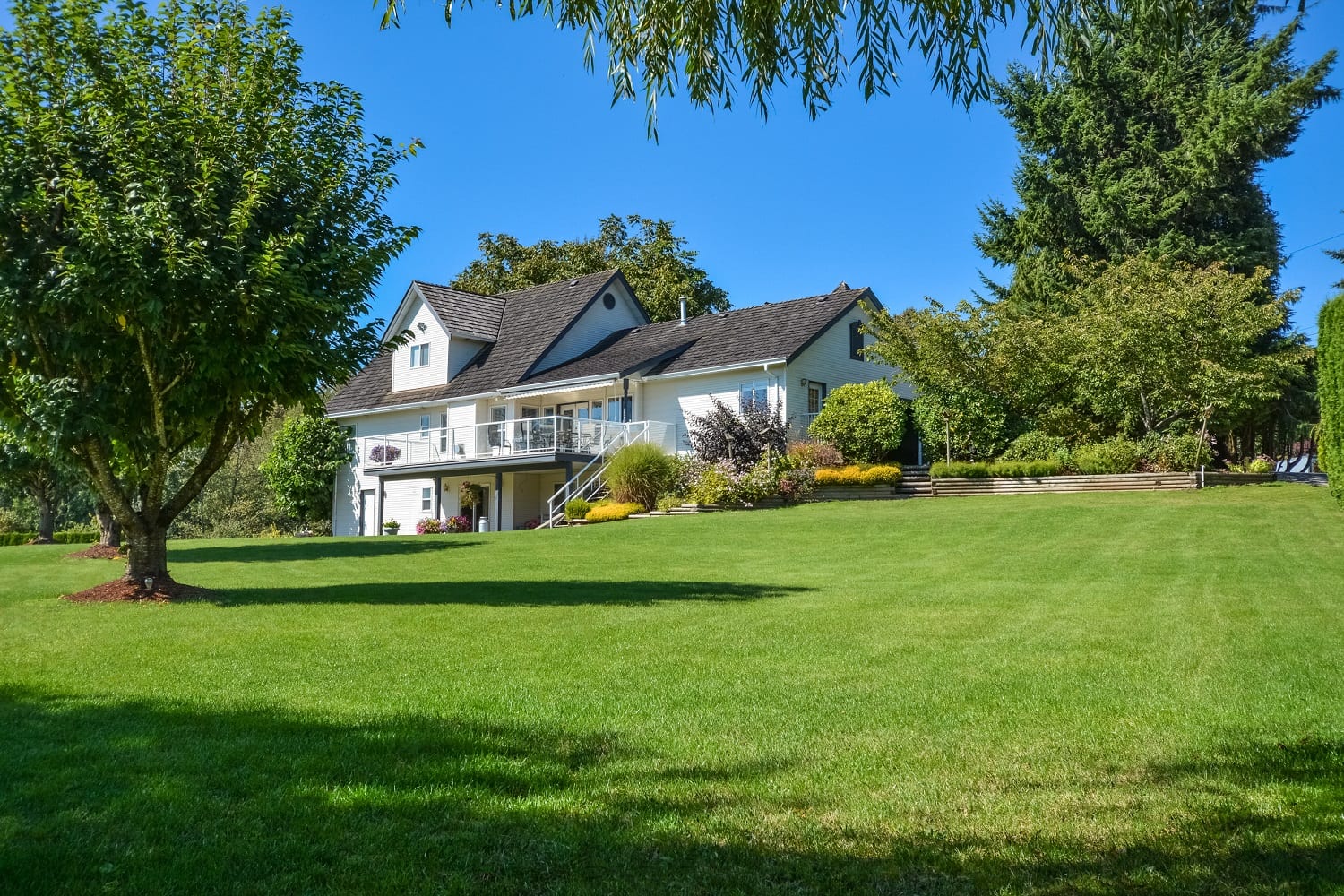 Trusted Real Estate Partner