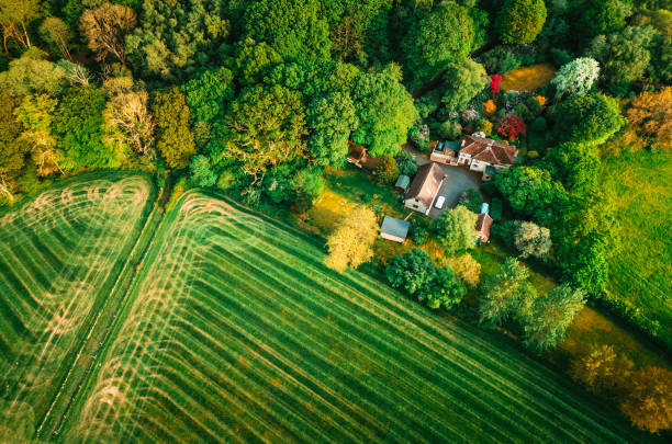 Sustainable Developments